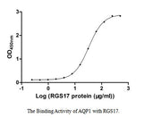Measured by its binding ability in a functional ELISA. Immobilized AQP1 at 2 μg/ml can bind human RGS17, the EC50 of human RGS17 protein is 31.63-34.44 μg/ml.