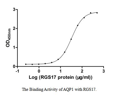 Measured by its binding ability in a functional ELISA. Immobilized AQP1 at 2 μg/ml can bind human RGS17, the EC50 of human RGS17 protein is 31.63-34.44 μg/ml.