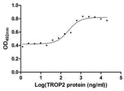 Measured in cell activity assay using U937 cells. The EC50 for this effect is 190.2-298.6 ng/ml.