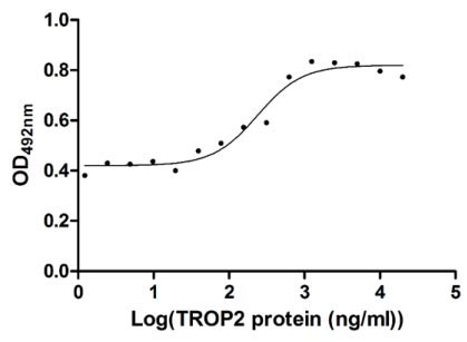 Measured in cell activity assay using U937 cells. The EC50 for this effect is 190.2-298.6 ng/ml.