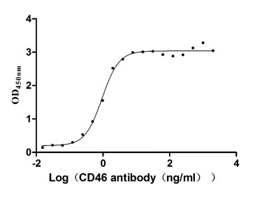 Measured by its binding ability in a functional ELISA. Immobilized CD46 at 2 μg/ml can bind Anti-CD46 rabbit monoclonal antibody, the EC50 of human CD46 protein is 0.8333-1.054 ng/ml.