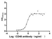 Measured by its binding ability in a functional ELISA. Immobilized CD48 at 2 μg/ml can bind Anti-CD48 rabbit monoclonal antibody, the EC50 of human CD48 protein is 0.5806-0.8463 ng/ml.