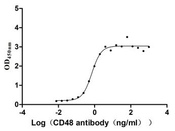 Measured by its binding ability in a functional ELISA. Immobilized CD48 at 2 μg/ml can bind Anti-CD48 rabbit monoclonal antibody, the EC50 of human CD48 protein is 0.5806-0.8463 ng/ml.