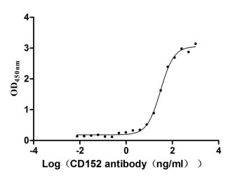 Measured by its binding ability in a functional ELISA. Immobilized CD152 at 2 μg/ml can bind Anti-CD152 rabbit monoclonal antibody, the EC50 of human CD152 protein is 27.14-34.82 ng/ml.