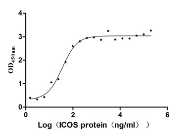 Measured by its binding ability in a functional ELISA. Immobilized ICOSLG at 2 μg/ml can bind human ICOS, the EC50 of human ICOSLG protein is 29.04-43.59 ng/ml.