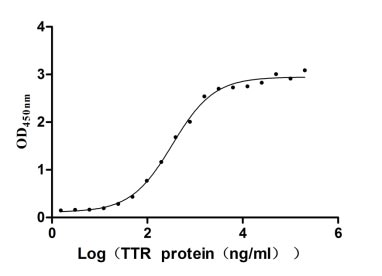 Measured by its binding ability in a functional ELISA. Immobilized RBP4 at 5 μg/ml can bind human TTR, the EC50 of human TTR protein is 284.7-391.7 ng/ml.