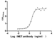 Measured by its binding ability in a functional ELISA. Immobilized MET at 2 μg/ml can bind Anti-MET recombinant antibody, the EC50 is 2.379-3.094 ng/ml.