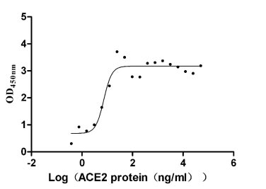 Measured by its binding ability in a functional ELISA. Immobilized SARS-CoV-2-S1-RBD at 5 μg/ml can bind Cynomolgus-ACE2, the EC50 is 5.638-9.496 ng/ml.