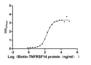 Measured by its binding ability in a functional ELISA. Immobilized BTLA at 5 μg/ml can bind biotinylated human TNFRSF14, the EC50 is 137.8-233.4 ng/ml.
