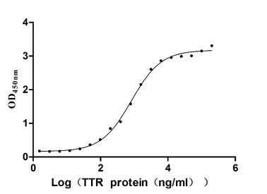 Measured by its binding ability in a functional ELISA. Immobilized RBP4 at 5 μg/ml can bind TTR, the EC50 is 695.0-970.1 ng/ml.