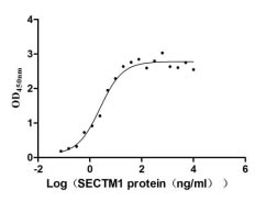 Measured by its binding ability in a functional ELISA. Immobilized CD7 at 5 μg/ml can bind human SECTM1, the EC50 is 1.811-3.372 ng/ml.