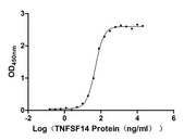 Measured by its binding ability in a functional ELISA. Immobilized TNFRSF14 at 5 μg/ml can bind TNFSF14, the EC50 is 45.44-53.29 ng/ml.