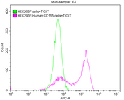 FACS assay shows that Human TIGIT can bind to 293F cell overexpressing human CD155.