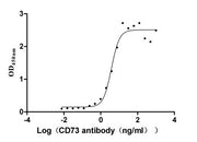 Measured by its binding ability in a functional ELISA. Immobilized CD73 at 2 μg/ml can bind Anti- CD73 Rabbit Monoclonal Antibody, the EC50 is 3.212-4.525 ng/ml.