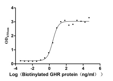 Measured by its binding ability in a functional ELISA. Immobilized human GH1 at 2 μg/ml can bind Biotinylated human GHR, the EC50 is 2.067-3.208 ng/ml.