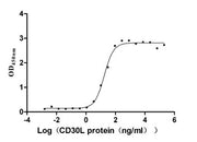 Measured by its binding ability in a functional ELISA. Immobilized CD30 at 5 μg/ml can bind human CD30L, the EC50 is 14.96-20.25 ng/ml.