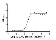 Measured by its binding ability in a functional ELISA. Immobilized CD30 at 5 μg/ml can bind human CD30L, the EC50 is 4.169-6.360 ng/ml.