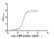 Measured by its binding ability in a functional ELISA. Immobilized human LIF at 2 μg/ml can bind human LIFR, the EC50 is 11.68-15.52 ng/ml.