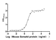 Measured by its binding ability in a functional ELISA. Immobilized Pepinemab at 2 μg/ml can bind Mouse Sema4d, the EC50 is 4.878-7.446 ng/ml.