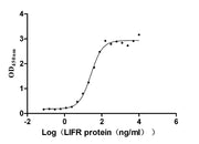 Measured by its binding ability in a functional ELISA. Immobilized human LIF at 2 μg/ml can bind human LIFR, the EC50 is 22.58-30.24 ng/ml.