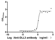 Measured by its binding ability in a functional ELISA. Immobilized DLL3 at 2 μg/mL can bind Anti-DLL3 Recombinant Antibody, the EC50 is 1.102-1.707 ng/mL.