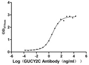 Measured by its binding ability in a functional ELISA. Immobilized human GUCY2C at 5 μg/mL can bind Anti-GUCY2C recombinant antibody, the EC50 is 3.049-4.660 ng/mL.