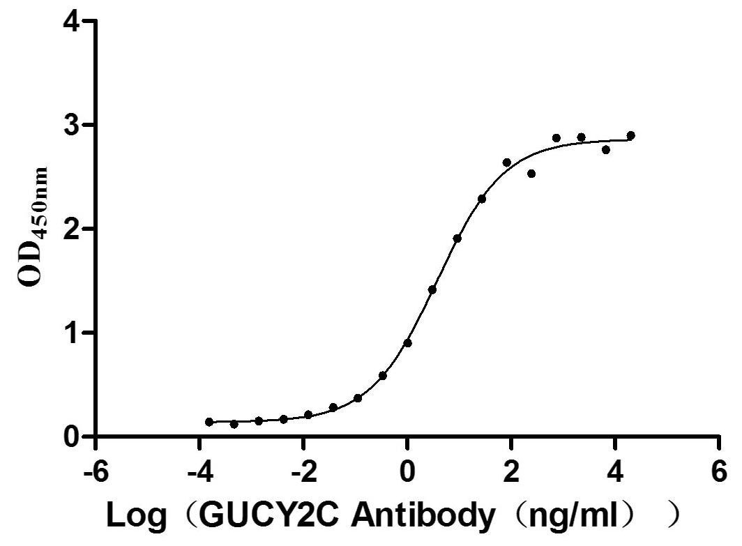 Measured by its binding ability in a functional ELISA. Immobilized human GUCY2C at 5 μg/mL can bind Anti-GUCY2C recombinant antibody, the EC50 is 3.049-4.660 ng/mL.
