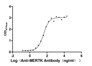 Measured by its binding ability in a functional ELISA. Immobilized MERTK at 2 μg/mL can bind anti-MERTK antibody, the EC50 is 32.95-48.25 ng/mL.