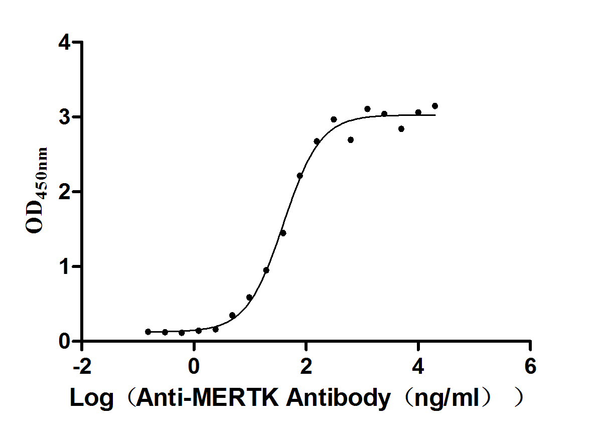 Measured by its binding ability in a functional ELISA. Immobilized MERTK at 2 μg/mL can bind anti-MERTK antibody, the EC50 is 32.95-48.25 ng/mL.