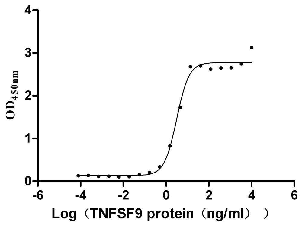 Measured by its binding ability in a functional ELISA. Immobilized TNFSF9 at 2 μg/mL can bind TNFRSF9, the EC50 is 2.671-3.702 ng/mL.