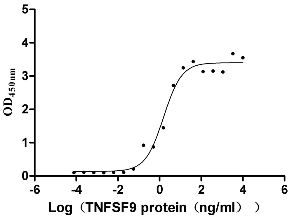 Measured by its binding ability in a functional ELISA. Immobilized TNFRSF9 at 2 μg/mL can bind TNFSF9, the EC50 is 1.011-2.429 ng/mL.