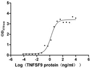 Measured by its binding ability in a functional ELISA. Immobilized TNFRSF9 at 2 μg/mL can bind TNFSF9, the EC50 is 1.011-2.429 ng/mL.