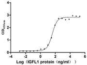 Measured by its binding ability in a functional ELISA. Immobilized Human IGFLR1 at 2 μg/mL can bind Human IGFL1, the EC50 is 32.33-47.52 ng/mL.