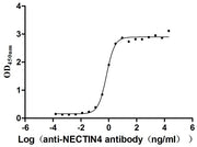 Measured by its binding ability in a functional ELISA. Immobilized NECTIN4 at 2 μg/mL can bind anti-NECTIN4 antibody (enfortumab vedotin-like）, the EC50 is 0.6029-0.7837 ng/mL.