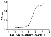 Measured by its binding ability in a functional ELISA. Immobilized human CCR8 at 5 μg/ml can bind Anti-CCR8 recombinant Antibody, the the EC50 is 11.13-17.29 ng/ml.