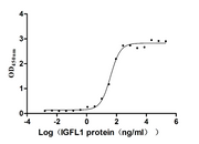 Measured by its binding ability in a functional ELISA. Immobilized Human IGFLR1 at 2 μg/mL can bind Human IGFL1, the EC50 is 32.33-47.52 ng/mL.