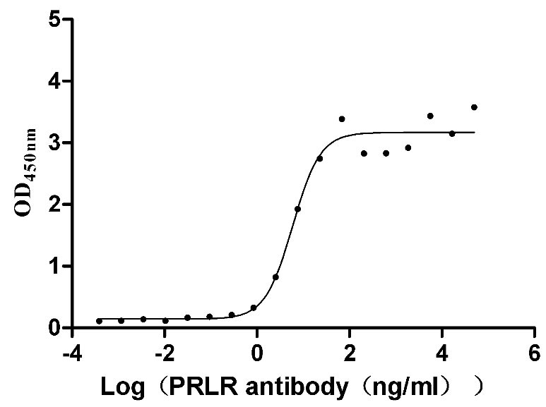 Measured by its binding ability in a functional ELISA. Immobilized Mouse Prlr at 5 μg/mL can bind Anti-PRLR recombinant antibody, the EC50 is 4.021-8.706 ng/mL.