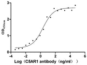Measured by its binding ability in a functional ELISA. Immobilized human C5AR1 at 10 μg/mL can bind Anti-C5AR1 recombinant antibody, the EC50 is 1.239-3.760 ng/mL.