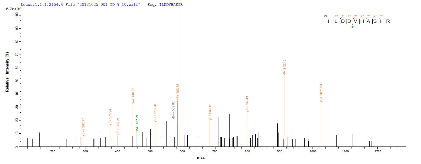 Based on the SEQUEST from database of E.coli host and target protein, the LC-MS/MS Analysis result of RPC28271 could indicate that this peptide derived from E.coli-expressed Halobacterium salinarum (strain ATCC 29341 / DSM 671 / R1) btuD.