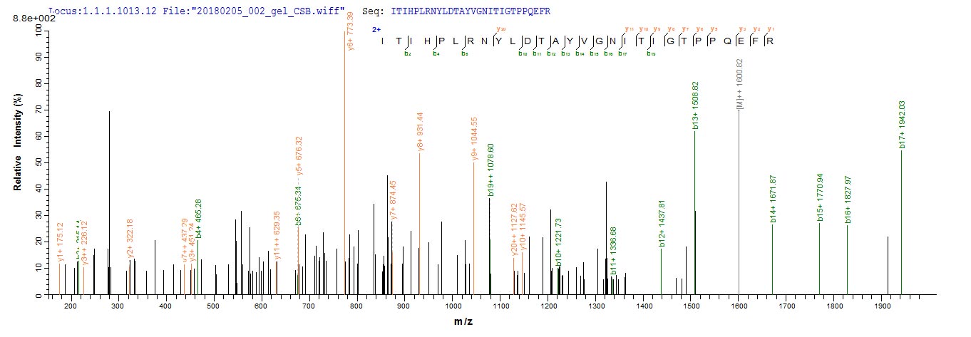 Based on the SEQUEST from database of E.coli host and target protein, the LC-MS/MS Analysis result of RPC28276 could indicate that this peptide derived from E.coli-expressed Bos taurus (Bovine) PAG2.