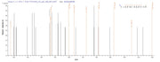 Based on the SEQUEST from database of E.coli host and target protein, the LC-MS/MS Analysis result of RPC28318 could indicate that this peptide derived from E.coli-expressed Homo sapiens (Human) DDX39B.