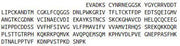 Recombinant A Disintegrin And Metalloprotease 28 (ADAM28), RPU40015