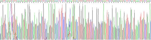 Recombinant Human A Disintegrin And Metalloprotease 28 (ADAM28)