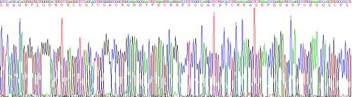 Recombinant Human A Disintegrin And Metalloproteinase With Thrombospondin 8 (ADAMTS8)