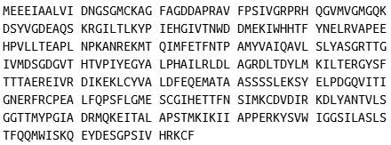 Recombinant Gamma Actin (ACTG), RPU40062