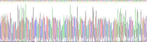 Recombinant Human Adiponectin (ADPN)