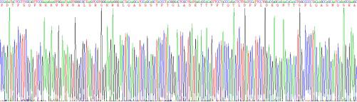 Recombinant Mouse Adrenomedullin (ADM)