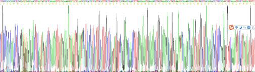Recombinant Human Afamin (AFM)