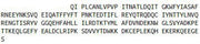 Recombinant Alpha-1-Acid Glycoprotein (a1AGP), RPU40164