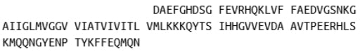 Recombinant Amyloid Precursor Protein (APP), RPU40236